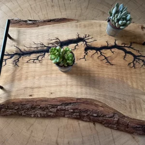 Plateau en bois foudroyé en chêne